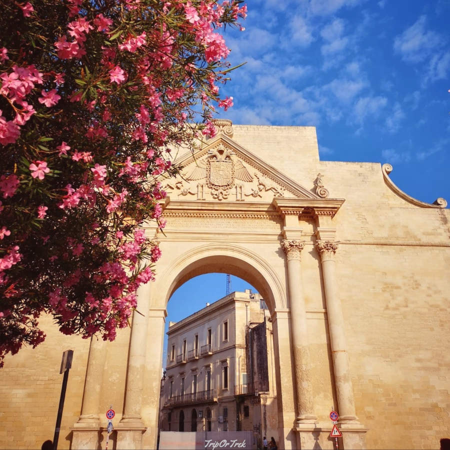 wall-door-flowers-Lecce-Salento-Apulia-TripOrTrek