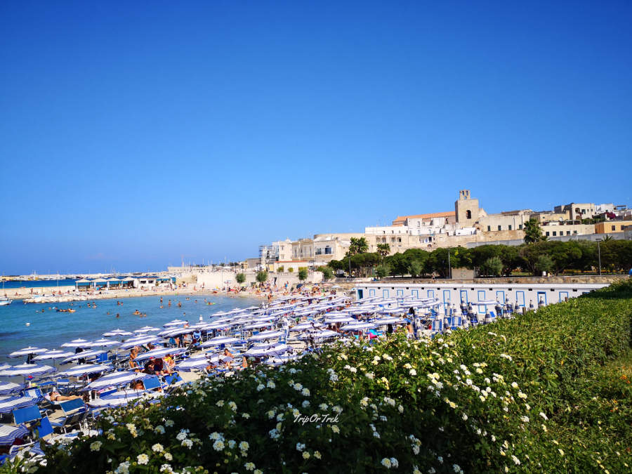 fiori-mare-ombrelloni-paese-Otranto-Salento-Puglia-TripOrTrek