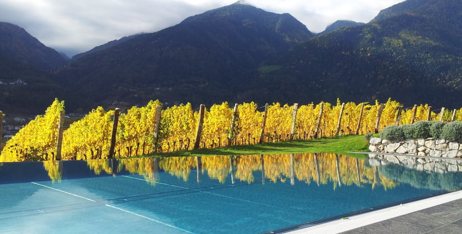 Swimming-pool-Pacherhof-Vinum-hotels