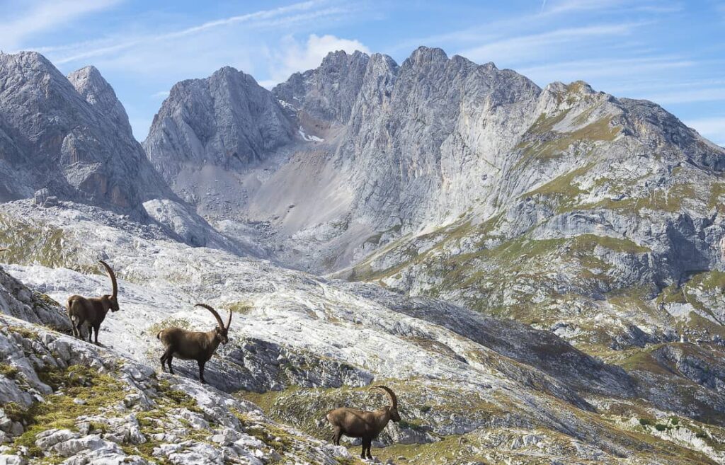Dolomiti Bellunesi: quattro leggende per quattro percorsi sulle montagne
