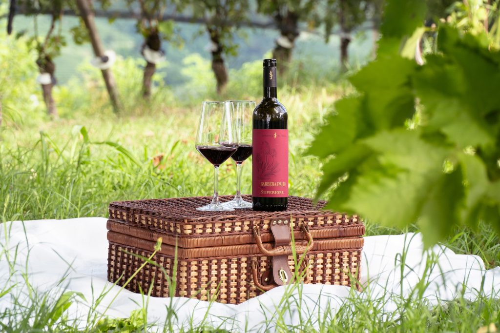 Pic Ninc tra le vigne di Cantina Saffirio nelle Langhe